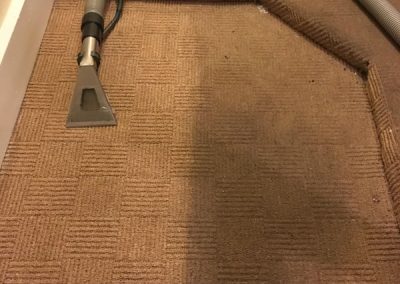 Carpet cleaning service