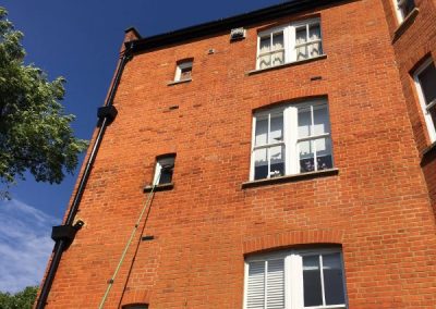 Window cleaners at work